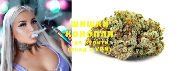 твердый Аркадак