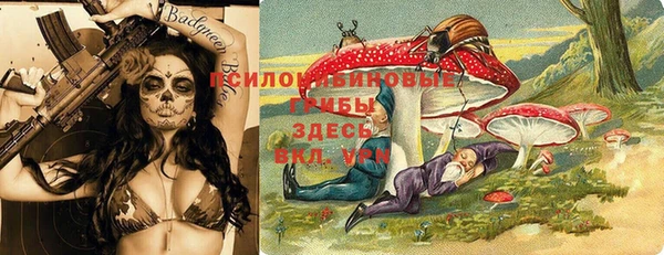 прущая мука Армянск