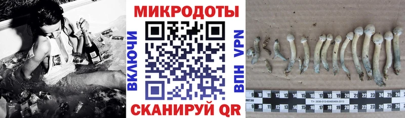 Галлюциногенные грибы мицелий Луга