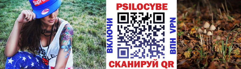 hydra ONION  Луга  Псилоцибиновые грибы GOLDEN TEACHER  где купить наркотик 