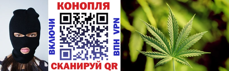 Марихуана семена  Луга 